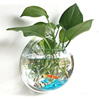 Merssavo Claro Planta de la Maceta Montado en la Pared Colgante Burbuja Cuenco Pecera Acuario Decoración del Hogar